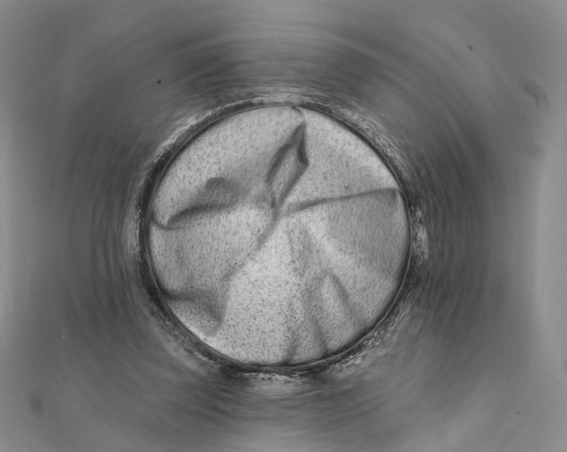 X0000112060347200909011007