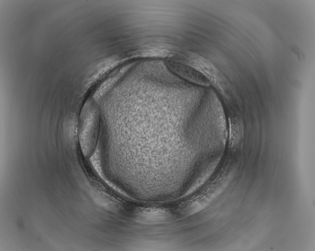 X0000112060348200909011007