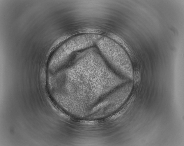 X0000112060349200909011007