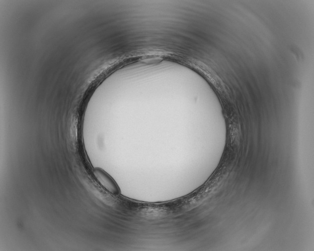 X0000112060350200909011007