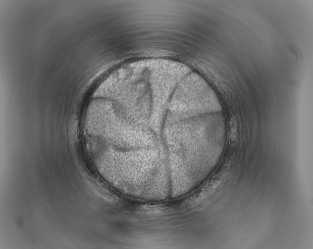 X0000112060351200909011007