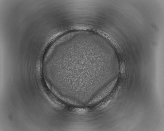 X0000112060352200909011007