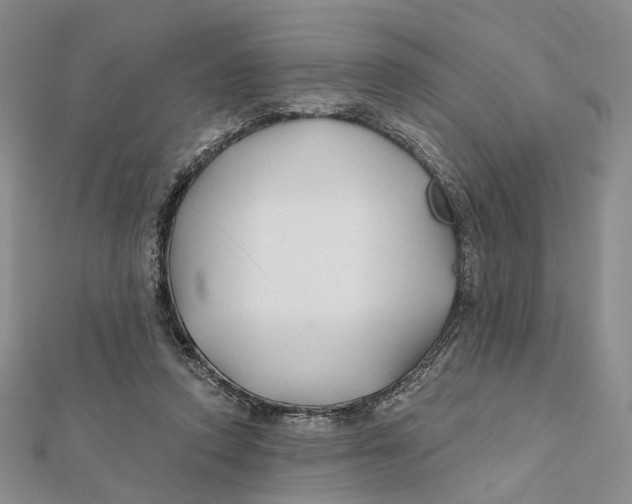 X0000112060354200909011007
