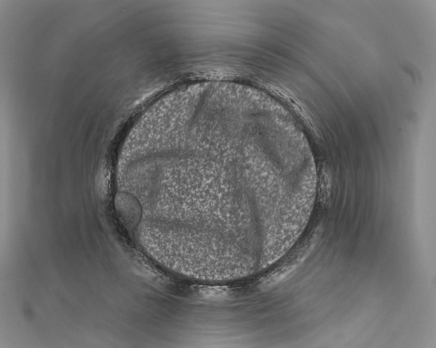 X0000112060355200909011007