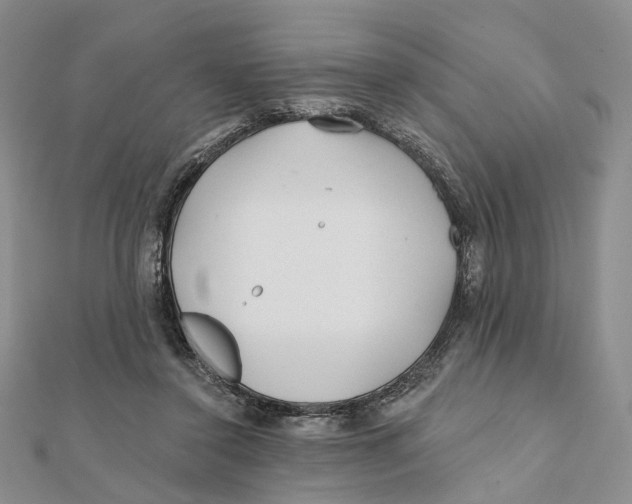 X0000112060356200909011007
