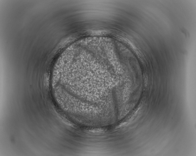 X0000112060357200909011007