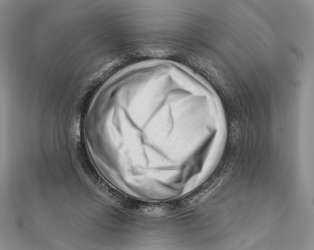 X0000112060358200909011007