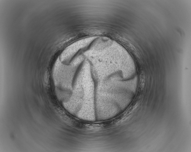 X0000112060359200909011007