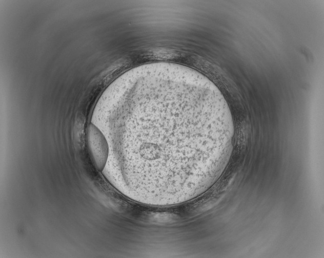 X0000112060360200909011007