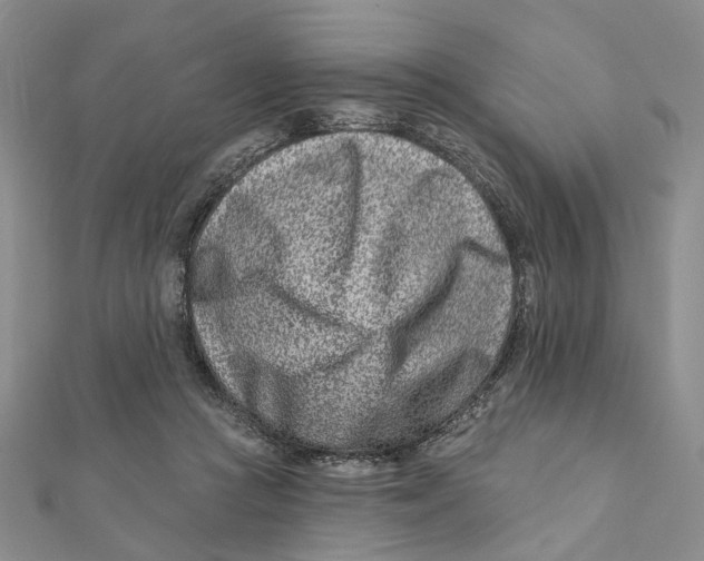 X0000112060361200909011007