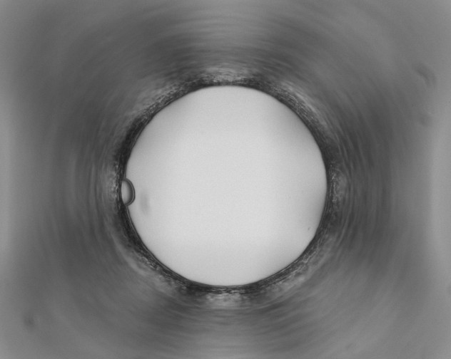 X0000112060362200909011007