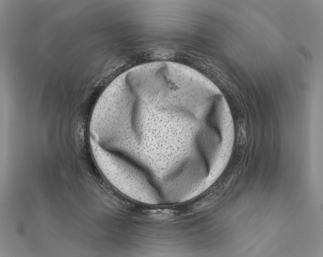 X0000112060363200909011007