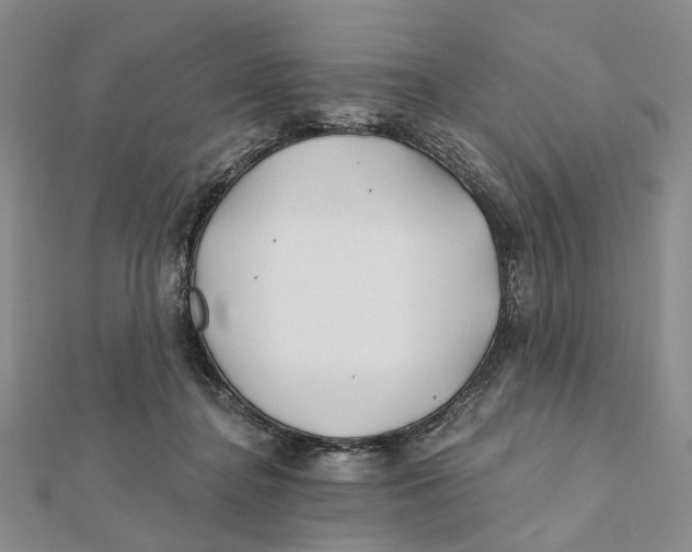 X0000112060364200909011007
