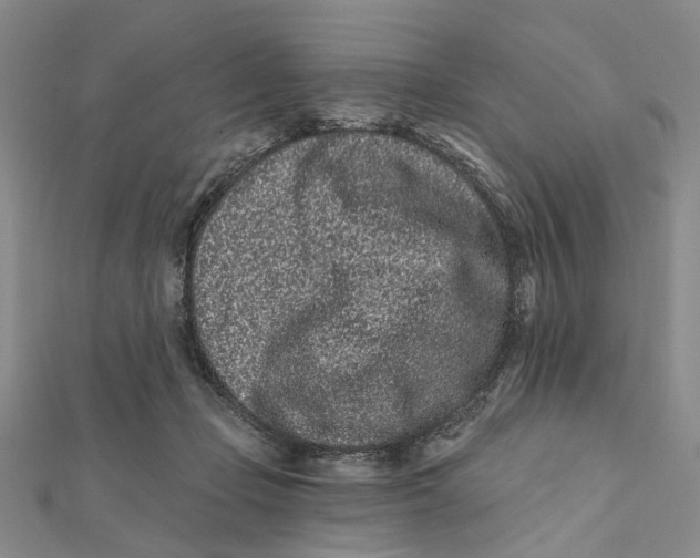 X0000112060365200909011007