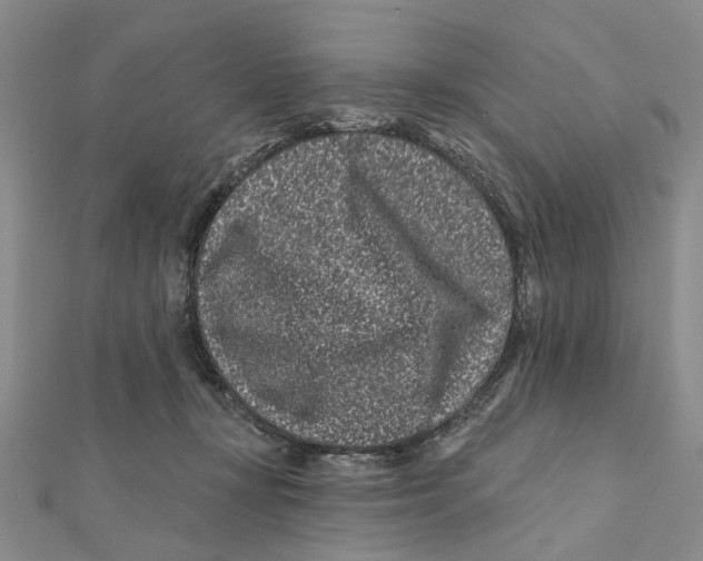 X0000112060367200909011007