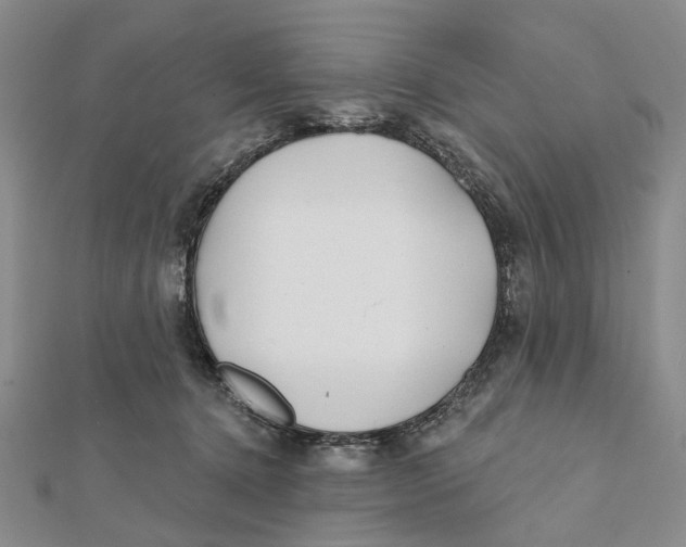 X0000112060368200909011007