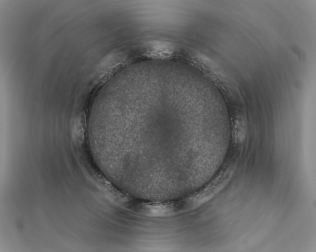 X0000112060370200909011007