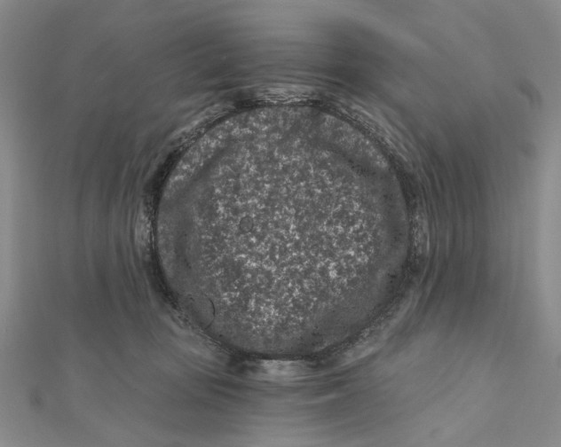 X0000112060371200909011007