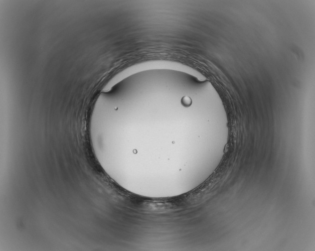 X0000112060372200909011007