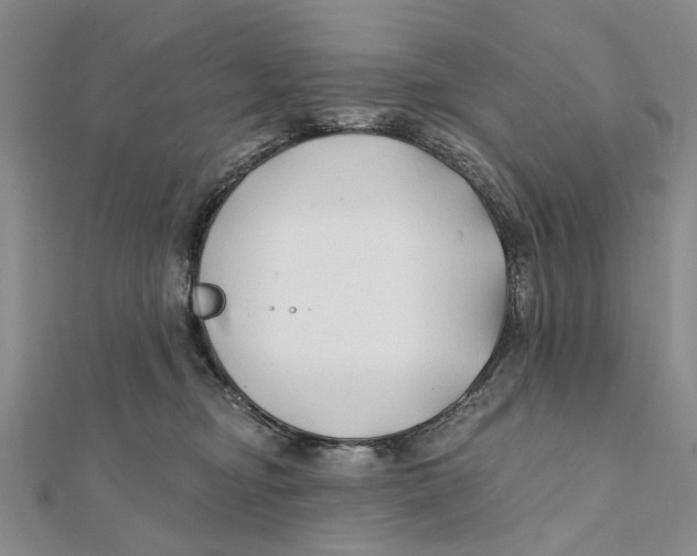 X0000112060374200909011007