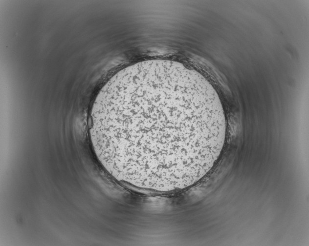 X0000112060376200909011007