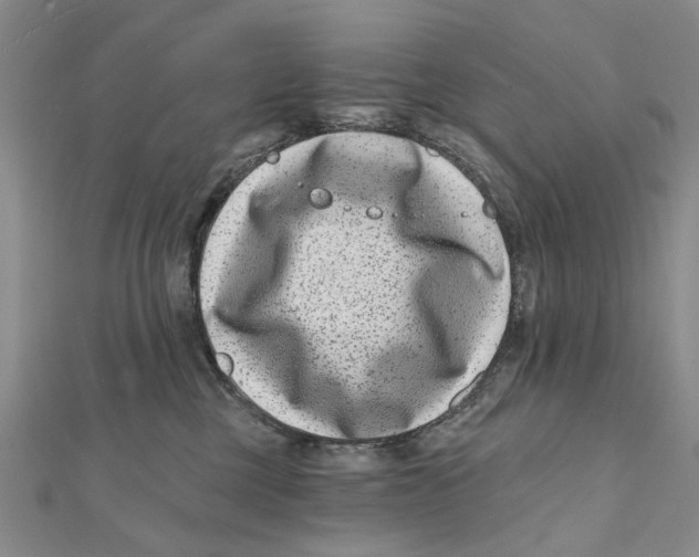 X0000112060377200909011007