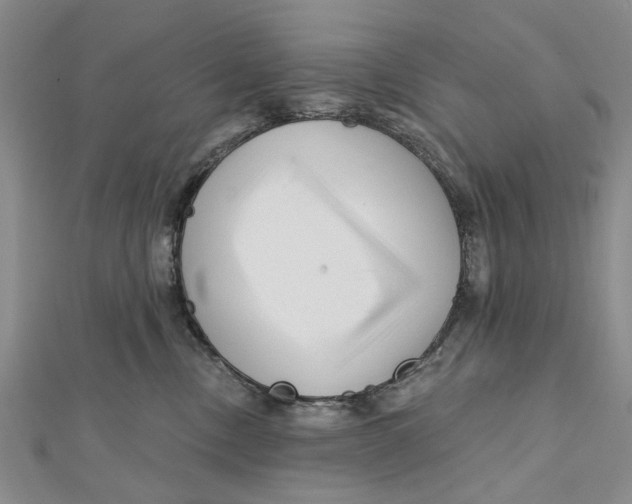 X0000112060378200909011007