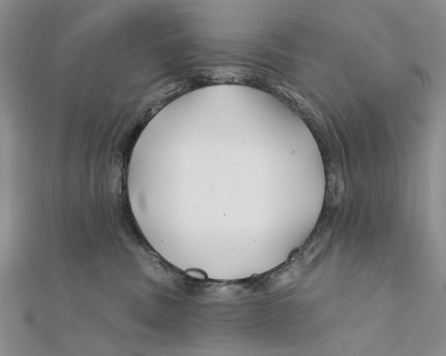 X0000112060379200909011007