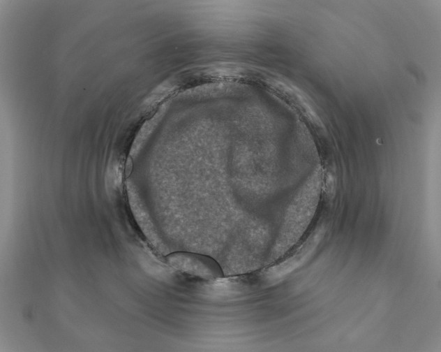 X0000112060382200909011007