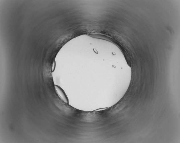 X0000112060384200909011007