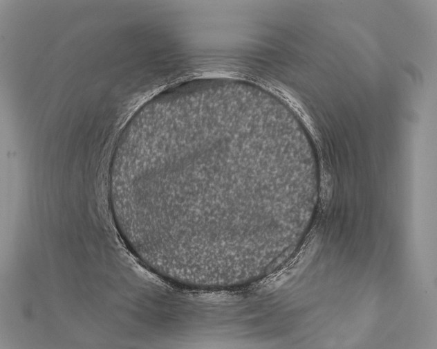 X0000112060385200909011007