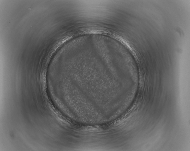 X0000112060386200909011007