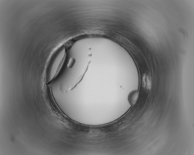 X0000112060388200909011007