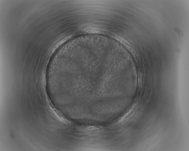 X0000112060390200909011007