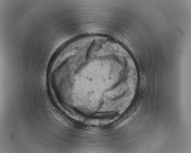 X0000112060391200909011007