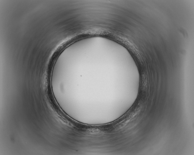 X0000112060392200909011007