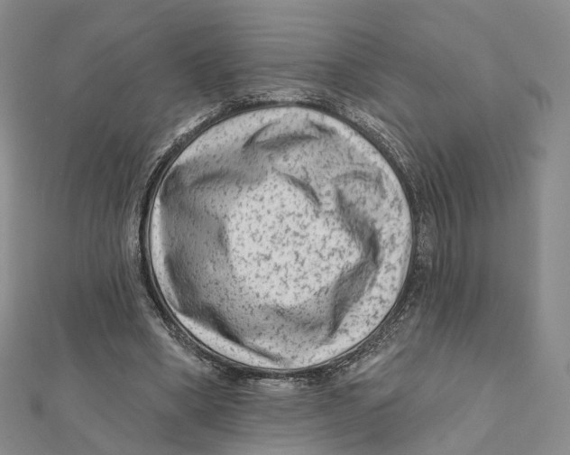 X0000112060394200909011007