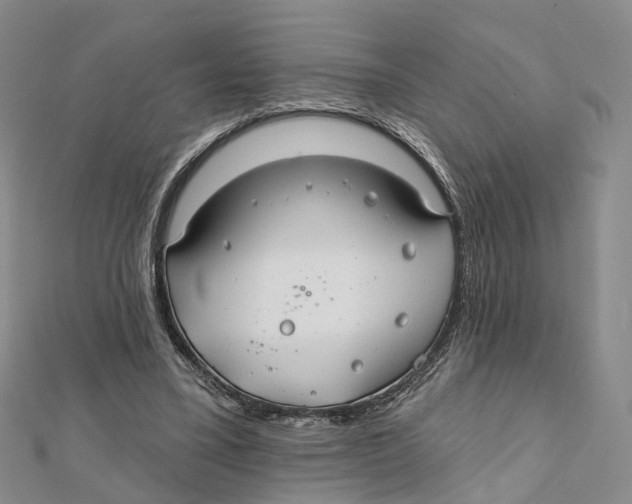 X0000112060395200909011007