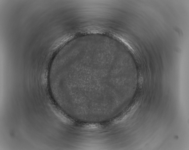 X0000112060402200909011007