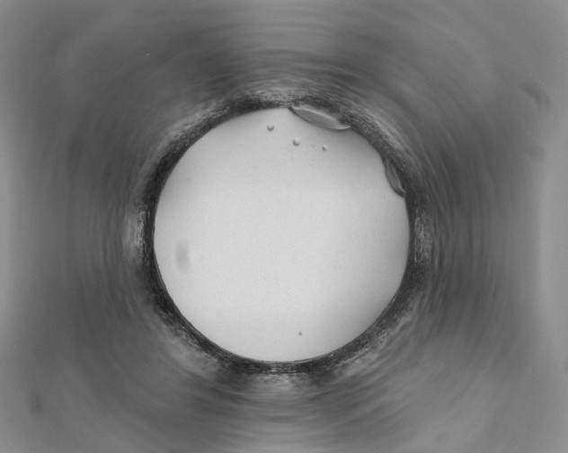 X0000112060404200909011006