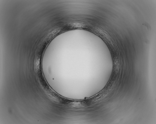 X0000112060406200909011006