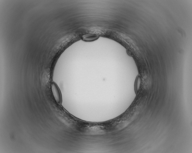 X0000112060407200909011006