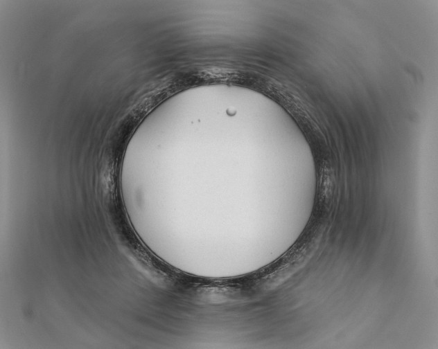 X0000112060408200909011006