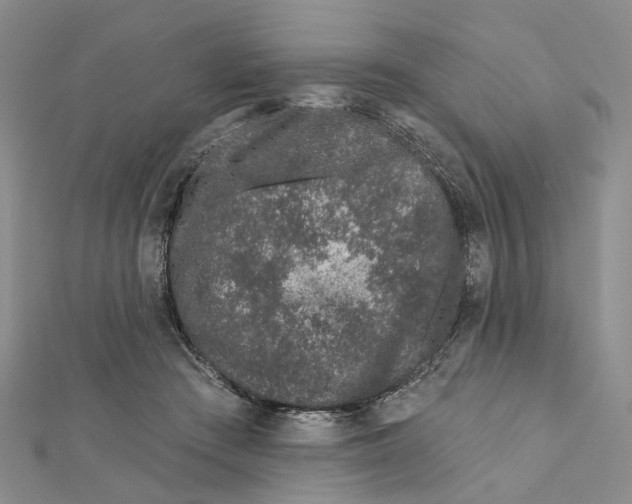 X0000112060409200909011006