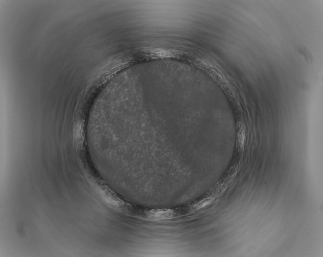 X0000112060410200909011006