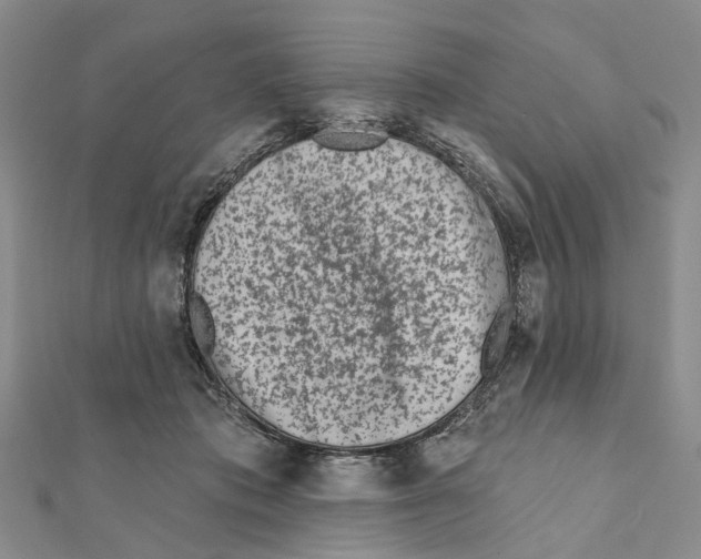 X0000112060413200909011006