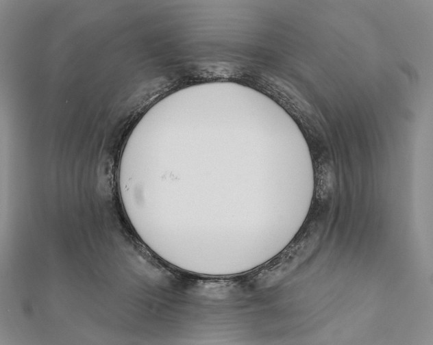 X0000112060414200909011006
