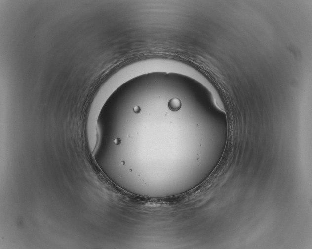 X0000112060415200909011006