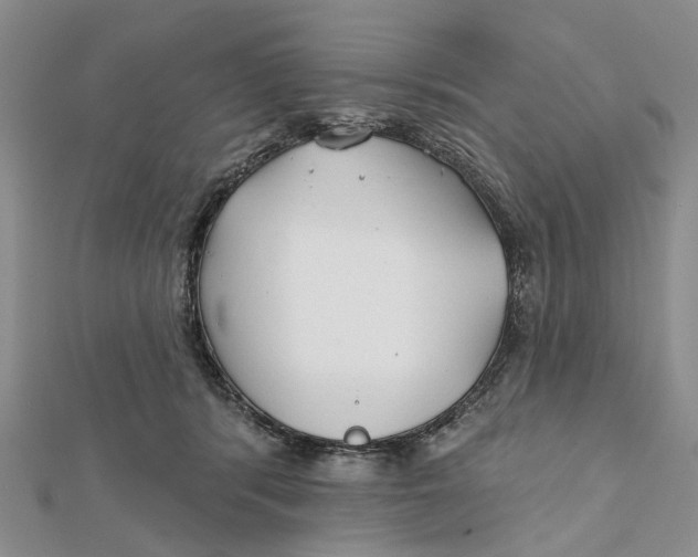 X0000112060416200909011006