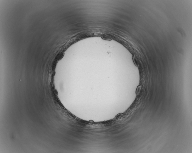 X0000112060417200909011006